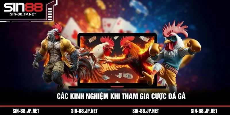 Đá Gà Trực Tiếp Ga28 - Tổng Quan Nhà Phát Hành Đá Gà Uy Tín
