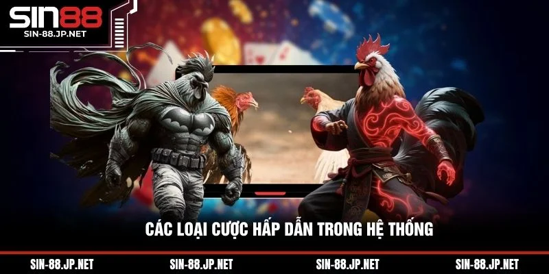 Đá Gà Trực Tiếp Ga28 - Tổng Quan Nhà Phát Hành Đá Gà Uy Tín