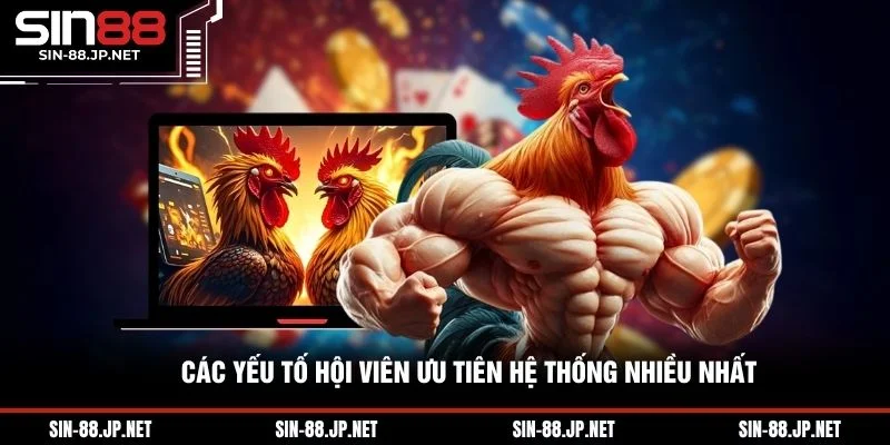 Đá Gà Trực Tiếp Ws168 - Chiến Thuật Cược Và Trường Gà HOT