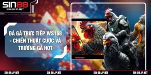 Blog Game SIN88 - Sự Kiện Nổi Bật Đang Diễn Ra Dành Cho Hội Viên