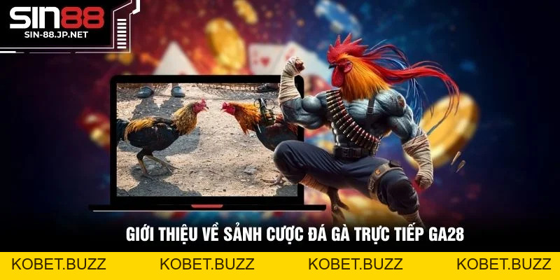 Đá Gà Trực Tiếp Ga28 - Tổng Quan Nhà Phát Hành Đá Gà Uy Tín