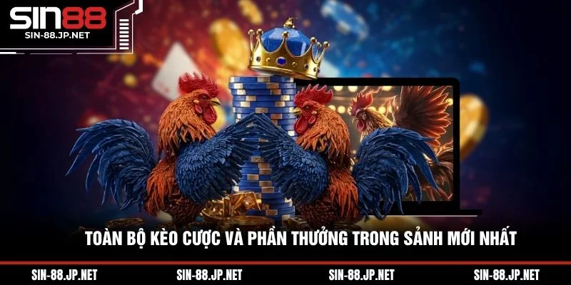 Đá Gà Trực Tiếp Ws168 - Chiến Thuật Cược Và Trường Gà HOT