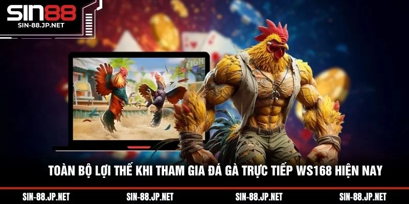Đá Gà Trực Tiếp Ws168 - Chiến Thuật Cược Và Trường Gà HOT